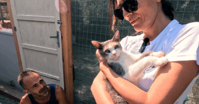 Copertina di “Mi hanno definita ‘nonna attempata’ perché sono diventata mamma a 47 anni? Mi fanno pena, moriranno a 55 come nel dopoguerra. Ora vi racconto il mio viaggio tra canili e gattili sardi”: parla Caterina Murino