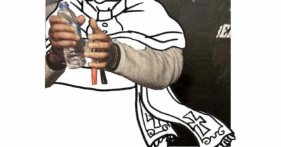 Copertina di La vignetta di Vauro