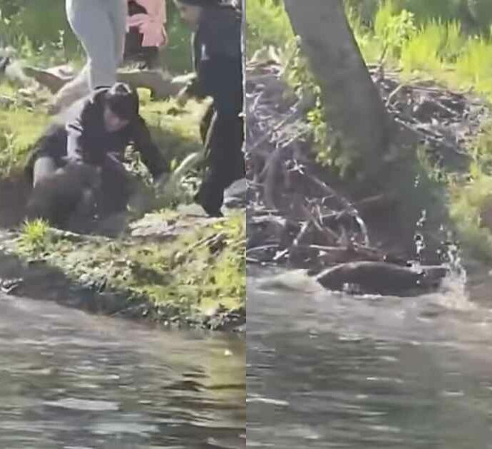 “È uscito dal lago all’improvviso e lo ha attaccato”: castoro rabbioso morde un bimbo di 8 anni, le raccomandazioni degli esperti