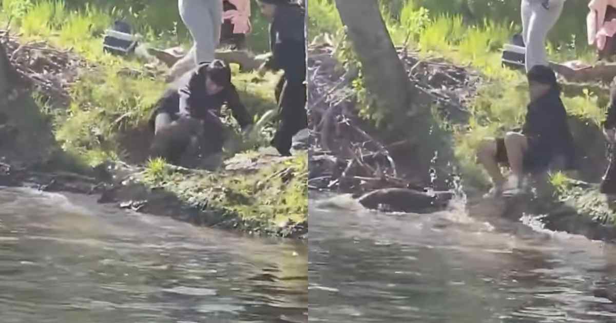 “È uscito dal lago all’improvviso e lo ha attaccato”: castoro rabbioso morde un bimbo di 8 anni, le raccomandazioni degli esperti