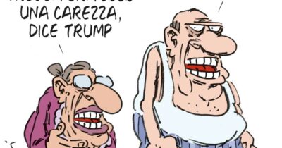 Copertina di La vignetta di Franzaroli