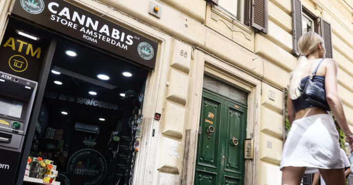 Cannabis light, il decreto sicurezza contro le aziende della canapa fa acqua tra archiviazioni e restituzioni: “E i sequestri sono fermi da mesi”