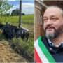 Copertina di Schianto in auto per sindaco e assessora di Ferrara, lei è positiva all’alcol-test: denuncia e ritiro della patente. E si dimette