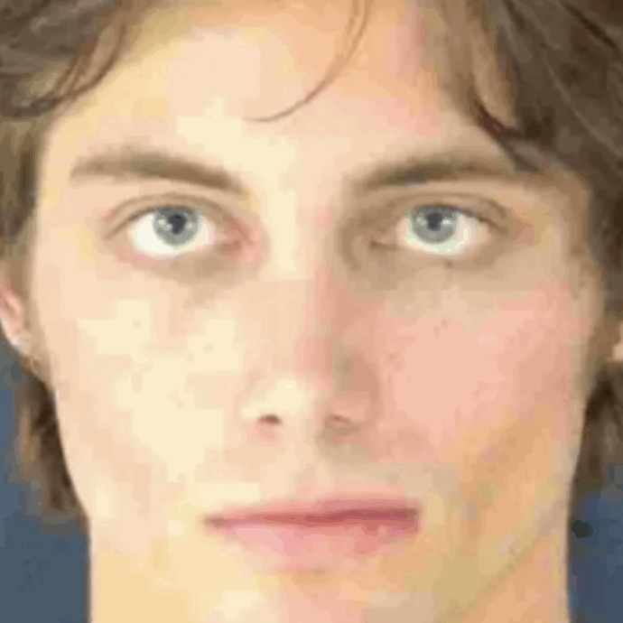 Mason Hull è stato arrestato con l’accusa di possesso di materiale pedopornografico. L’influencer ha ammesso: “Per due volte ho pagato per vedere i video”