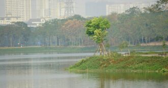 Copertina di La trave nel piatto – Ripristino della Natura, un Piano per recuperare aree terrestri e marine e per non perdere altri spazi verdi urbani