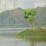 Copertina di La trave nel piatto – Ripristino della Natura, un Piano per recuperare aree terrestri e marine e per non perdere altri spazi verdi urbani