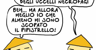 Copertina di La vignetta di Natangelo