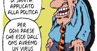 Copertina di La vignetta di Franzaroli