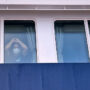 Copertina di Hantavirus, rischio “basso” secondo il ministero della Salute. In arrivo la circolare con indicazioni per possibili isolamenti
