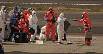 Hantavirus, la circolare del ministero della Salute: quarantena, test e segnalazioni. Ecco cosa prevede