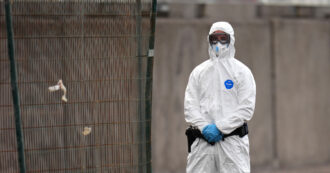 Hantavirus, acqua sugli escrementi di topo e protezioni per pulire: i consigli per evitare il contagio e i sintomi a cui fare attenzione