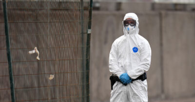 Copertina di Hantavirus, acqua sugli escrementi di topo e protezioni per pulire: i consigli per evitare il contagio e i sintomi a cui fare attenzione