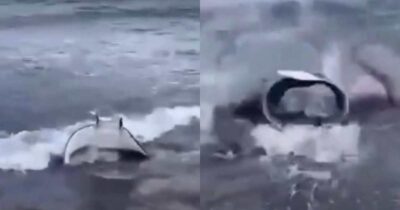 Copertina di Manta si avvicina pericolosamente alla riva a Procida: decisivo il salvataggio in extremis – IL VIDEO