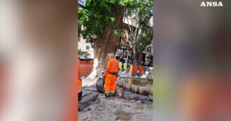 Una ruspa sfiora la fontana del Bernini a Roma: i lavori a pochi centimetri dall'opera senza protezioni