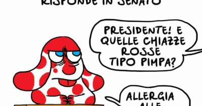 Copertina di Giorgia in Senato