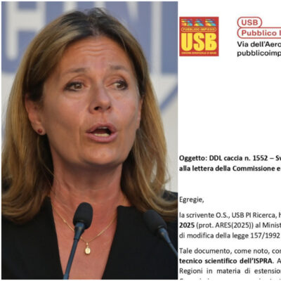 Copertina di Il governo svilisce Ispra nel ddl caccia, la presidente (ex senatrice di Forza Italia) si allinea. I lavoratori: “Silenzio inaccettabile”