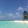 Copertina di Subacquei italiani morti alle Maldive: al via le operazioni di recupero delle salme