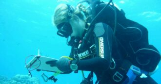 Cos’è l’effetto Venturi, l’ipotesi che i sub italiani siano “stati risucchiati nelle grotte” delle Maldive