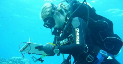 Copertina di Dalla “tossicità da ossigeno” al panico in grotta: tutte le ipotesi sulla morte dei 5 sub italiani alle Maldive