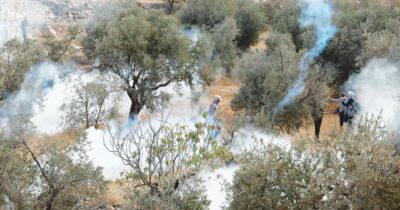 Copertina di “Basta importare merci dai territori occupati da Israele”: la proposta di legge Pd, 5S, Avs e 20 associazioni