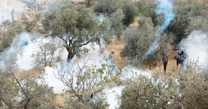 Da Pd, 5S e Avs e 20 associazioni la proposta di legge:  “Basta importare merci dai   Territori occupati illegalmente da Israele”