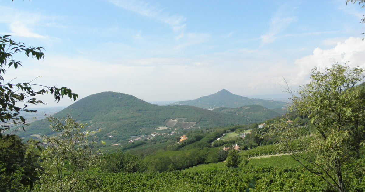 enorme magazzino industriale nel mezzo del parco dei colli euganei la protesta contro il progetto l236 vietate attivit224 produttive da Ilfattoquotidiano.it enorme magazzino industriale nel mezzo del parco dei colli euganei la protesta contro il progetto l236 vietate attivit224 produttive
