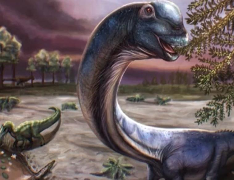 il ritrovamento che riscrive la preistoria scoperto un nuovo dinosauro da 27 metri le immagini impressionanti da Ilfattoquotidiano.it il ritrovamento che riscrive la preistoria scoperto un nuovo dinosauro da 27 metri le immagini impressionanti