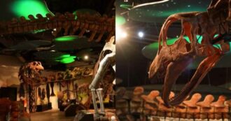 Copertina di Il ritrovamento che riscrive la preistoria: scoperto un nuovo dinosauro da 27 metri, le immagini impressionanti