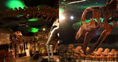 Copertina di Il ritrovamento che riscrive la preistoria: scoperto un nuovo dinosauro da 27 metri, le immagini impressionanti