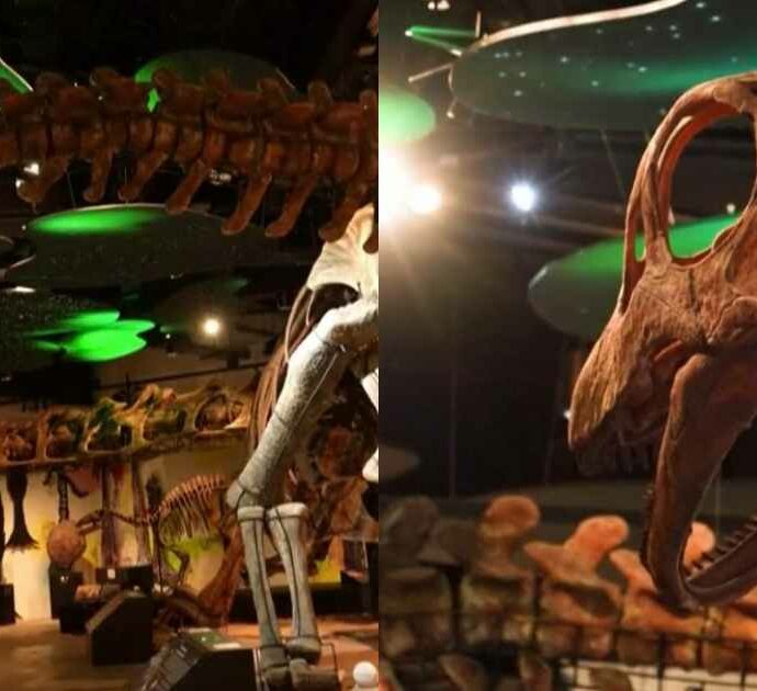 Il ritrovamento che riscrive la preistoria: scoperto un nuovo dinosauro da 27 metri, le immagini impressionanti