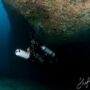 Copertina di Sub italiani dispersi alle Maldive, il biologo marino: “I corpi sono probabilmente integri”