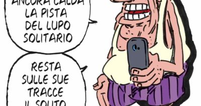Copertina di La vignetta di Franzaroli