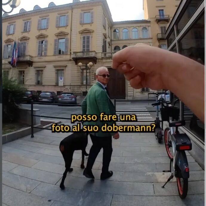 “Il primo giorno in cui ho fatto le foto a un gatto mi ha subito morso, con i cani non è mai successo. Non tutti i tuoi cani sono i tuoi cani, ecco perché”: la storia di Doggodaiily