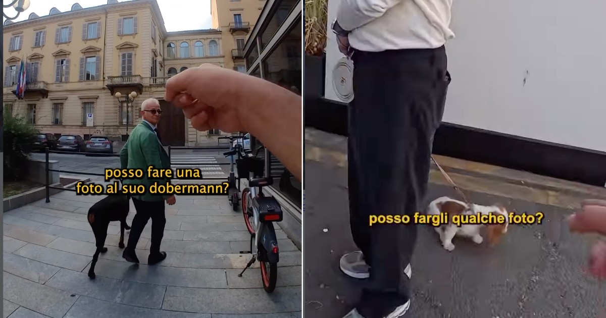 “Il primo giorno in cui ho fatto le foto a un gatto mi ha subito morso, con i cani non è mai successo. Non tutti i tuoi cani sono i tuoi cani, ecco perché”: la storia di Doggodaiily