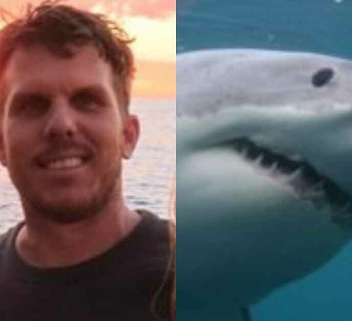 38enne viene attaccato e ucciso da uno squalo mentre pratica pesca subacquea, gli amici che erano con lui: “Una scena orribile”