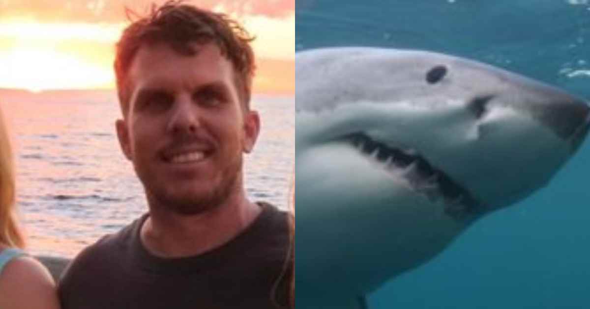 38enne viene attaccato e ucciso da uno squalo mentre pratica pesca subacquea, gli amici che erano con lui: “Una scena orribile”