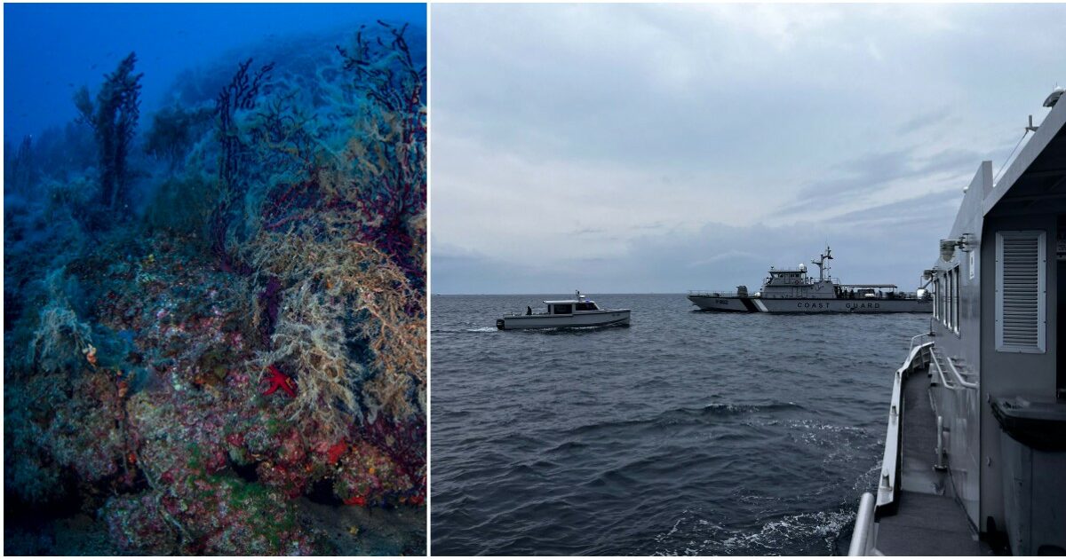 https://st.ilfattoquotidiano.it/wp-content/uploads/2026/05/20/grotte-maldive-1200x630.jpg