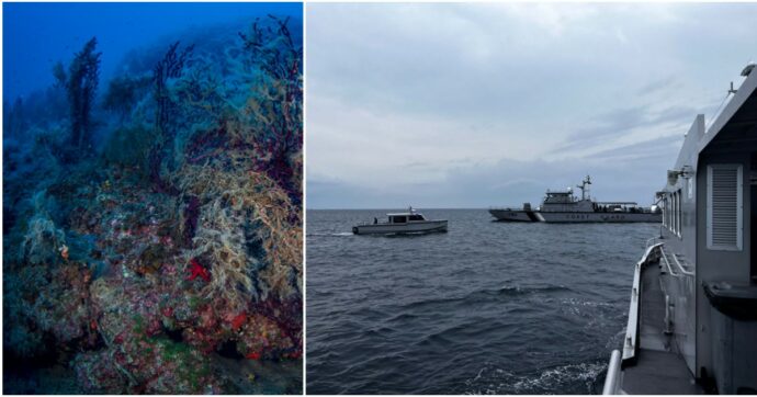 “Per entrare in grotta servono brevetti specifici e nessuno lo aveva”: i dubbi sull’immersione dei cinque sub morti alle Maldive