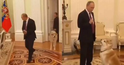 Copertina di Morta Yume, l’Akita donata dal Giappone a Vladimir Putin nel 2012