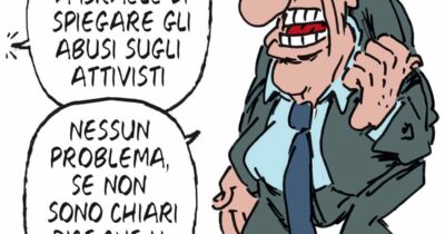Copertina di La vignetta di Franzaroli