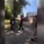 Copertina di Parma, due professori aggrediti e presi a bastonate da una banda di ragazzi nel parco dedicato a Falcone e Borsellino