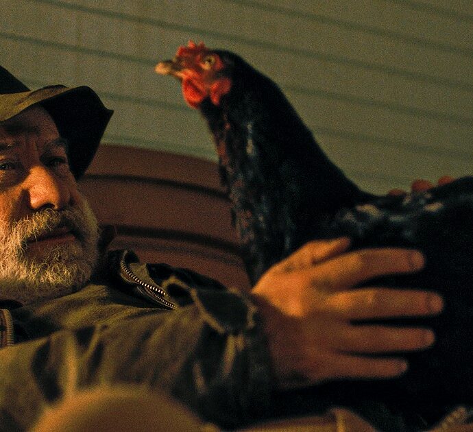 Hen – Storia di una gallina, il film di György Pálfi che cambierà il modo di guardare (e mangiare) le uova