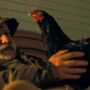 Copertina di Hen – Storia di una gallina, il film che cambierà il modo di guardare (e mangiare) le uova