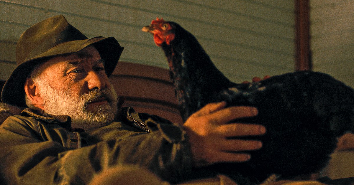 Hen – Storia di una gallina, il film di György Pálfi che cambierà il modo di guardare (e mangiare) le uova