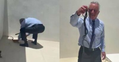Copertina di Così afferra due serpenti a mani nude e viene morso, il video diventa virale
