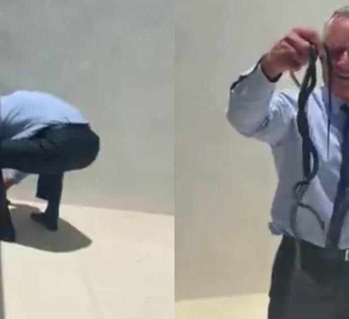 Robert F. Kennedy Jr. afferra due serpenti a mani nude e viene morso, il video diventa virale – Le immagini