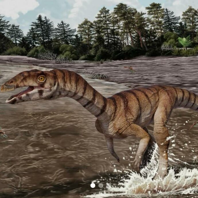Il misterioso “coccodrillo strega” svela nuovi segreti dell’evoluzione nel Triassico: ecco le caratteristiche del rettile bipede senza denti che sembrava un velociraptor