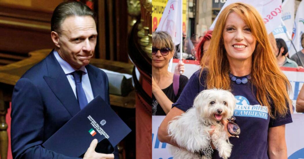 Destra da cani, milioni a Brambilla dall’ente cinofilo:  Lollo e il ministero dovevano vigilare