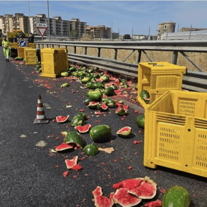 “Tony Tammaro aveva previsto tutto”: l’autostrada Salerno-Reggio Calabria invasa dalle angurie dopo un incidente, in molti corrono a rubarle e i social si scatenano
