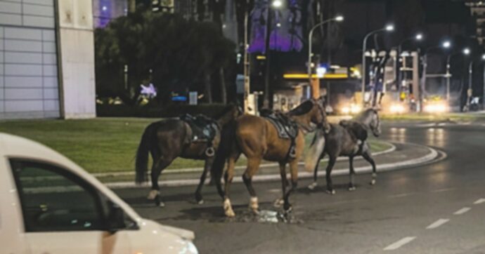 “Volevo festeggiare”: c’è il capro espiatorio, i botti si fanno da anni. Cavalli del 2 giugno in fuga per le vie di Roma